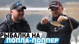 Рыбалка на ПОПЛА-ПОППЕР! Уловистая снасть для ловли белой рыбы на спиннинг!