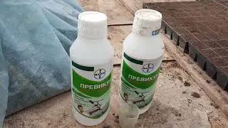 Сеем Махитос. 3й этап
