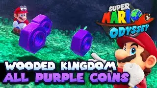 All 100 Purple Coins in Wooded Kingdom Guide | Super Mario Odyssey