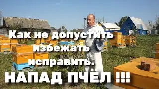 НАПАД ПЧЁЛ !!! КАК НЕ ДОПУСТИТЬ ???