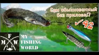 42) My Fishing World Сом обыкновенный без прилова!?