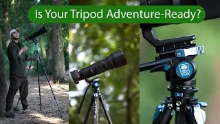 Sirui ST-124 Carbon Fiber Tripod with Sirui VA-5X Fluid Video Head Review | Best Travel Tripod?