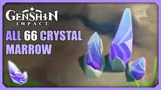 ALL 66 Crystal Marrow Locations | Efficient Farming Route | Genshin Impact