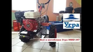 Вся правда о мотоблоке Угра НМБ1-Н7 Российского производителя Кадви!Завод ответил на мои вопросы!