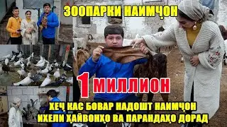 Зоопарки Наимчон. Хеч Кас Бовар надошт Наимчон Инхел Парандахо ва Хайвонхо Дорад.