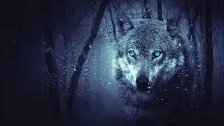 Wolf Howling Sound Effect HQ