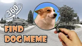 Where is dog meme?  challenge 360 video