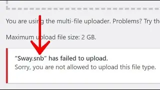 Allow SNB Files in WordPress