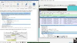 CBROPS - 10.4.3 Lab - Using Wireshark to Examine TCP and UDP Captures