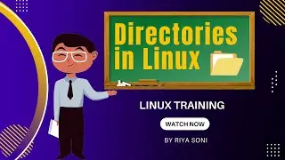 Linux Directory: Essential Commands for Beginners