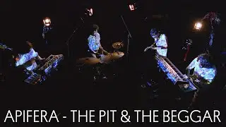 Apifera - The Pit & The Beggar (Live)