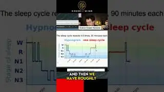 The Sleep Cycle - The Stages of Sleep Explained