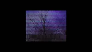 URSXLF - WXTH PURPLE