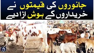 The prices of animals have shocked buyers - Cattle Market | Aaj News