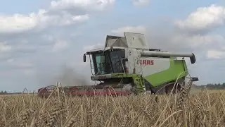 Мой комбайн 2021! Посвящается всем комбайнерам!