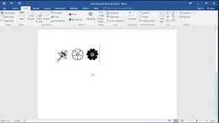 How to insert flower symbols in Word