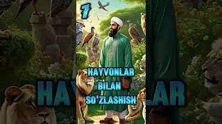 Buyuk Payg'ambarlarimizdan Sulaymon A.S Haqlarida !! 