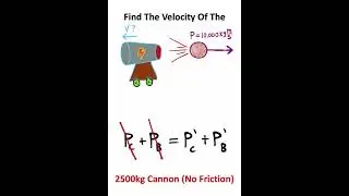 Conservation Of Momentum EXPLAINED!!