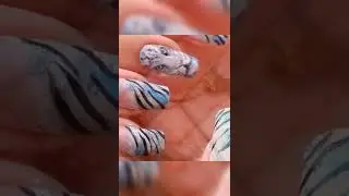 💞Модный Тигровый френч🐯