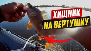 Вертушка всегда выручает / Щука, окунь на блесну