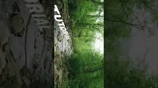 Motion Tracking | Text Tutorial  soon! 