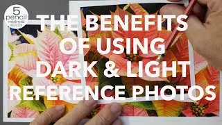 The Benefits of Using Dark & Light Reference Photos