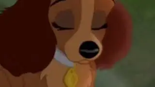 Danielle & Scamp - BBBFF Reprise