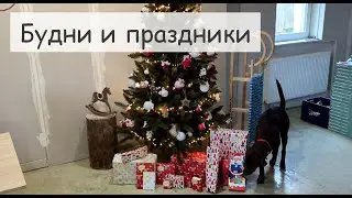 Ремонт в зале. Стены готовы. Дрова. Новый год. Салют. Наш дом в Германии