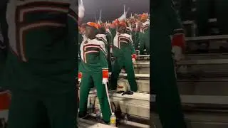 FAMU Marching 100 🐍🧡💚 #shorts #hbcubands