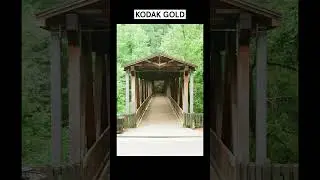 Color Film Comparison 