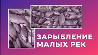 ЛОВЛЯ ЩУКИ НА СПИННИНГ ЗИМОЙ ЗАРЫБЛЕНИЕ МАЛЫХ РЕК