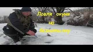 ЛОВЛЯ ОКУНЯ НА БЕЗМОТЫЛКУ