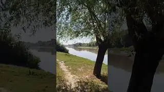 СУПЕР МЕСТА ДЛЯ ОТДЫХА И РЫБАЛКИ ЛОКАЦИЯ В ОПИСАНИЕ #shortsyoutube #видеорыбалка #carpfishing #fish