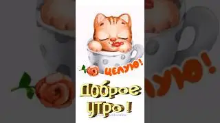 Доброе утро #доброеутро