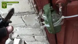Бойцы ЛНР спасли семью с детьми из заминированного подвала в одном из пригородов Северодонецка