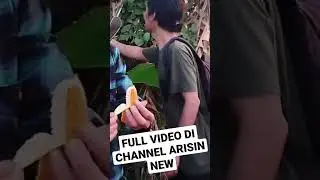 petualang di alam pedesaan 