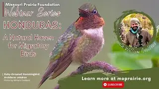 MPF Webinar: Honduras: A Natural Haven for Migratory Birds with William Orellana