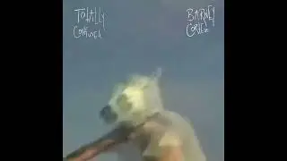 Barney Cortez - Totally Confused
