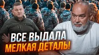 🔥ШЕЙТЕЛЬМАН: хто зливає Арестовичу дані, головна проблема мобілізації - Залужний все пояснив