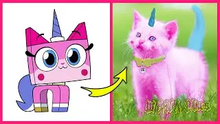 Unikitty Characters IN REAL LIFE 👉