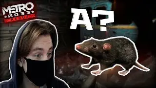 МИКВОЛ и КРЫСИНАЯ ЧУМА | Metro 2033 [Метро 2033] #6
