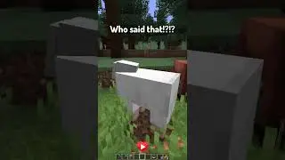 Types of Content Creators in Minecraft