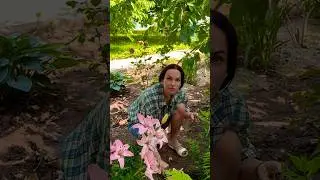 Мама в клубе жiрных? Дочка подколола🤣
