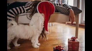 Вопрос - ответ из подсознания 02.01.2024 (TIK-TOK)
