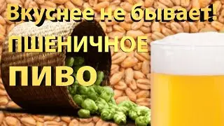 ✅ Самая вкусная ПШЕНИЧКА! Домашнее Пшеничное пиво.