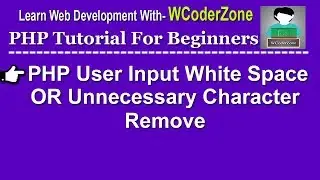 How to remove user input unnecessary white-space/character in php