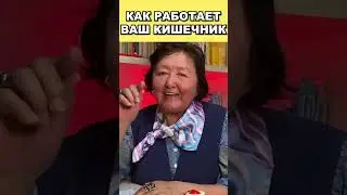 Как работает ваш кишечник?