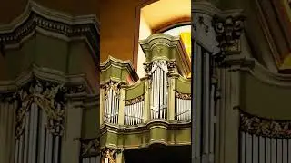 Ars Magna Organi. Пинск - 8 июня 