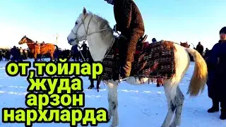 Чирокчи от бозори ва хашак нархлари 18.01.2023 й