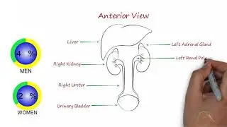Renal Colic  -  Part 1 of 3